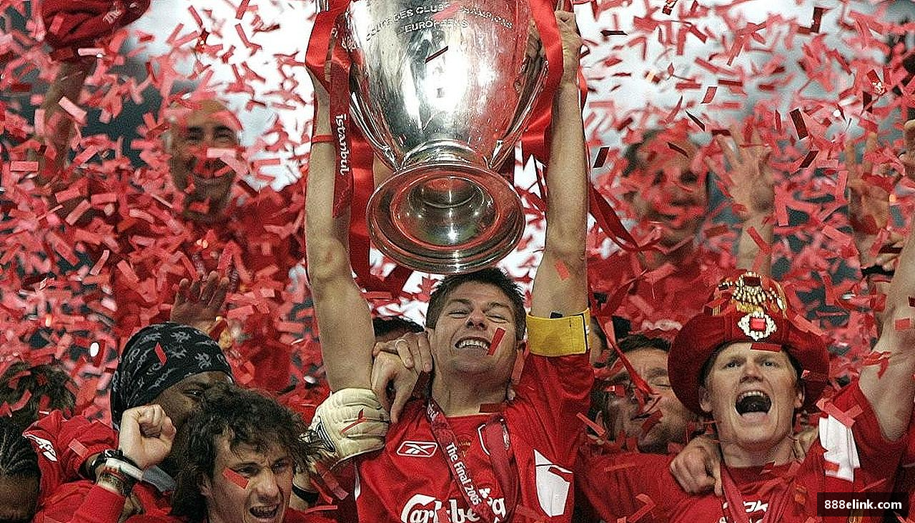 333体育官网app下载球迷专属，个性之选！🎁⚽️